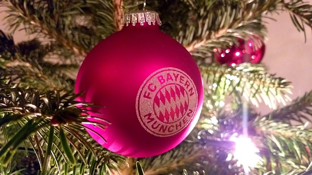 球队替补的 球队替补的