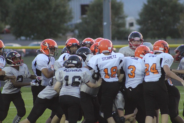 学校的体育 学校的体育