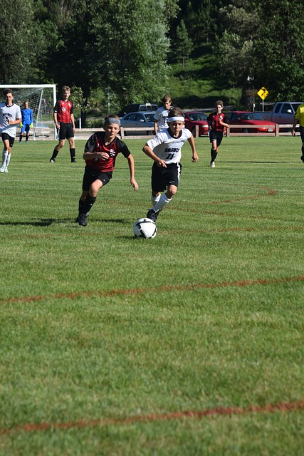 也为火箭队 也为火箭队