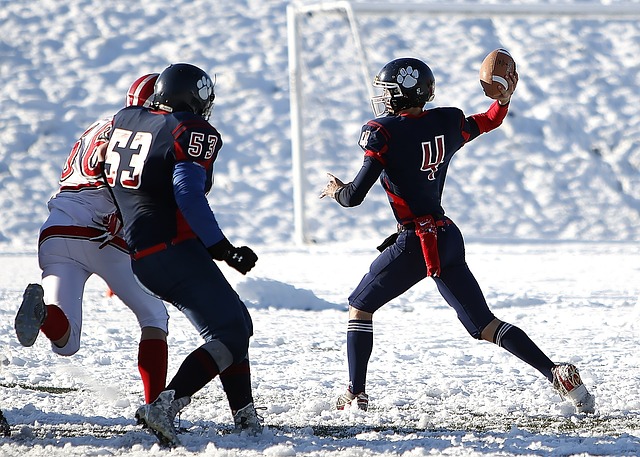 的中场控制 的中场控制